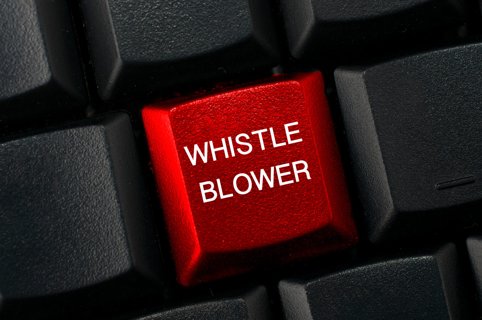 sec whistleblower program